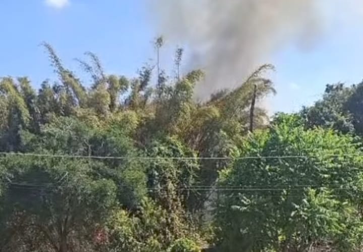 Tempo seco faz com que focos de incêndio se espalhem pelas matas de Itupeva